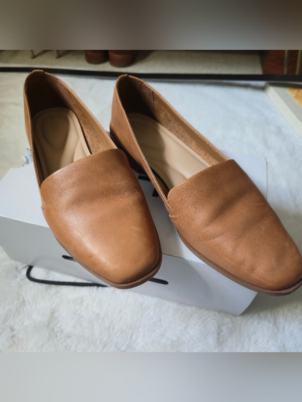 Aldo Veadith 2.0 Leather Flats